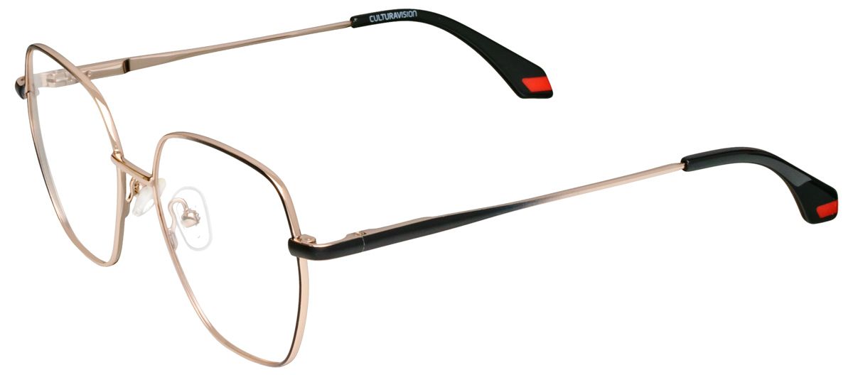 Culturavision A DS/S31 1